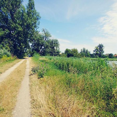 Przy Alei Krakowskiej Appartement Raszyn Buitenkant foto