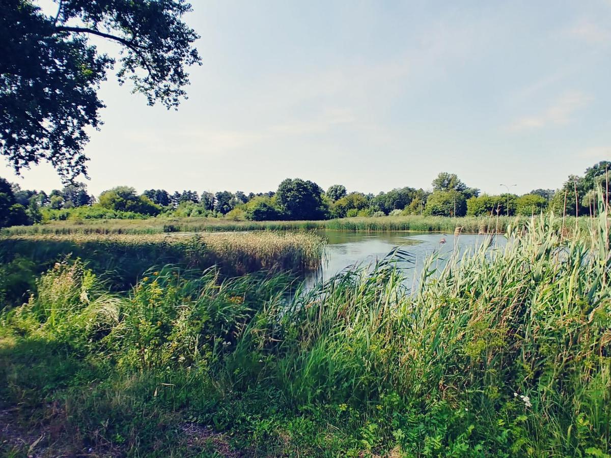 Przy Alei Krakowskiej Appartement Raszyn Buitenkant foto